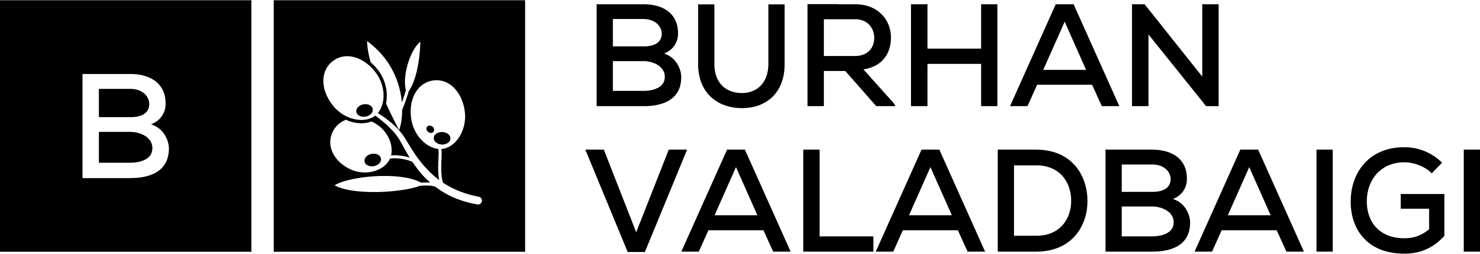 برهان ولدبیگی